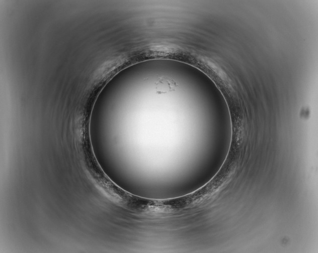 X0000099560455200805161457