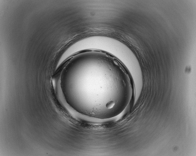 X0000099560456200805161457