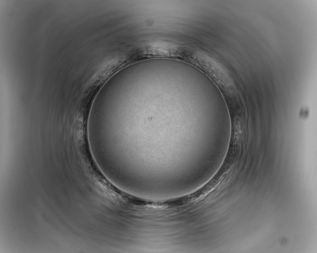 X0000099560457200805161457