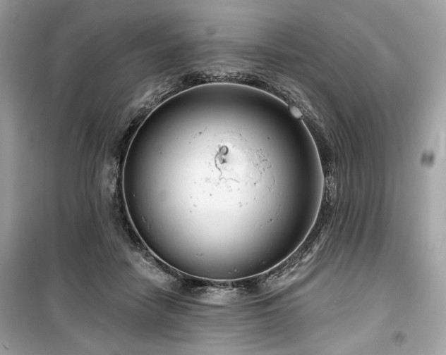 X0000099560458200805161457