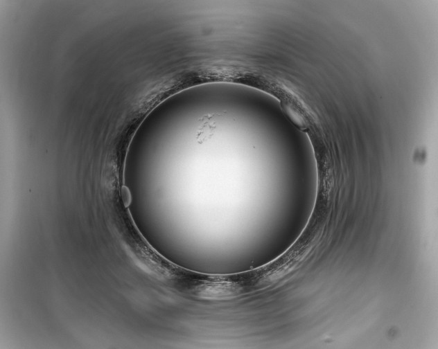 X0000099560459200805161457