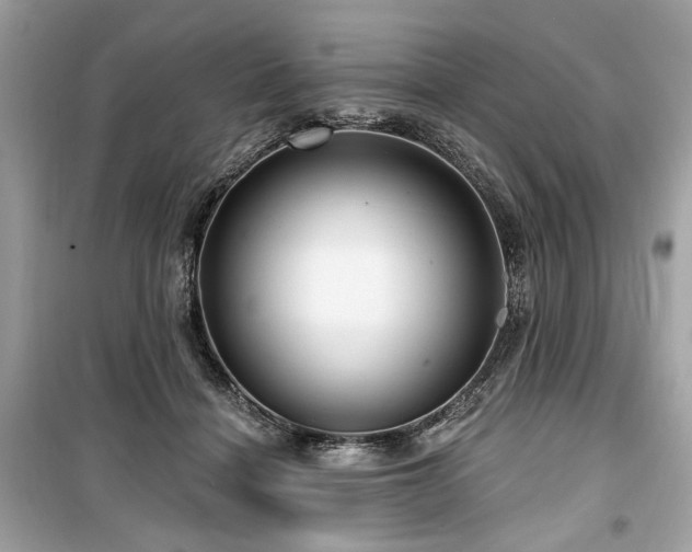 X0000099560460200805161457