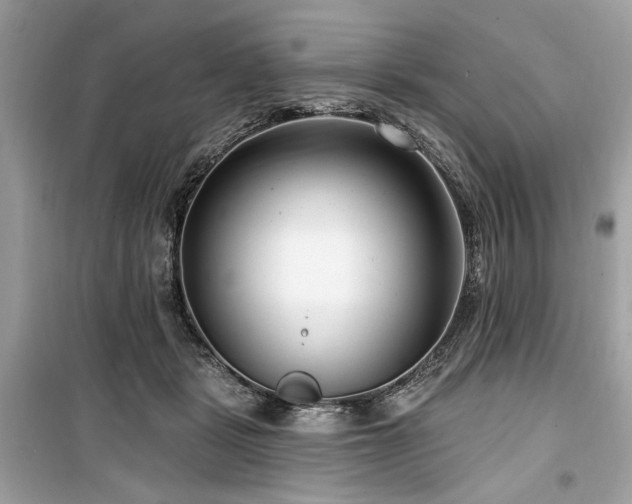 X0000099560461200805161457