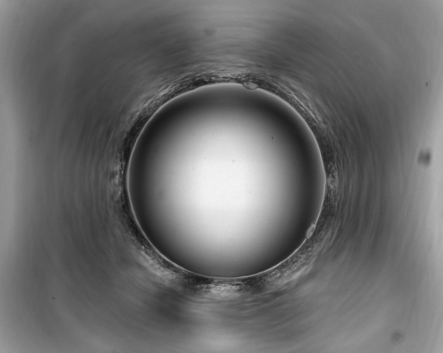 X0000099560462200805161457