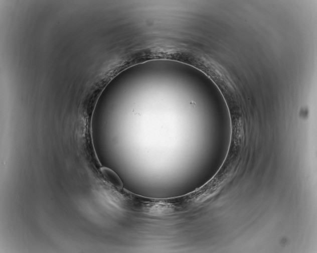 X0000099560463200805161457