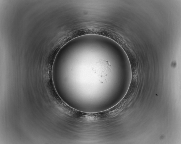 X0000099560464200805161457