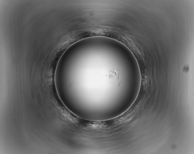 X0000099560466200805161457