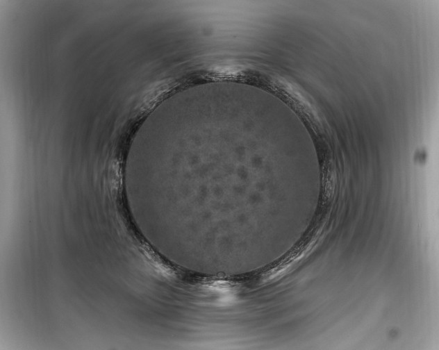 X0000099560467200805161457