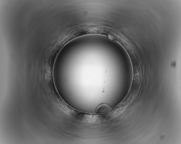 X0000099560469200805161457