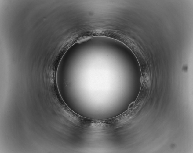 X0000099560470200805161457