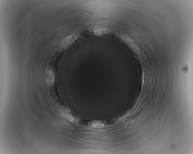 X0000099560471200805161457