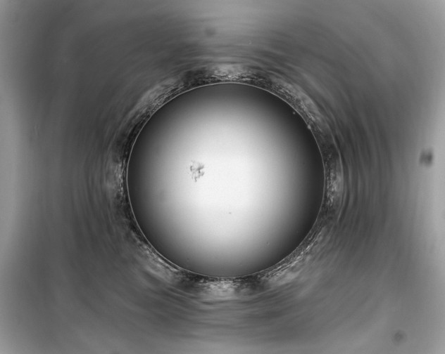 X0000099560473200805161457