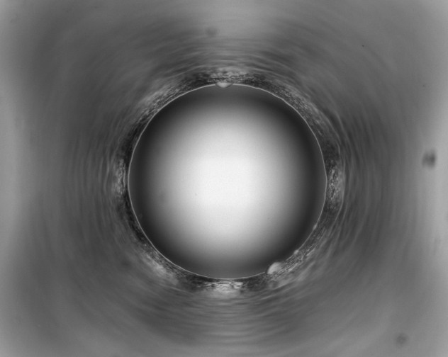 X0000099560474200805161457