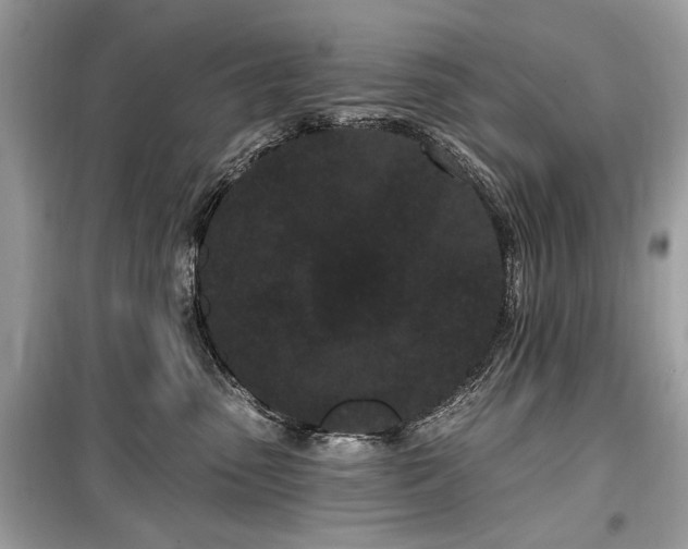 X0000099560475200805161457