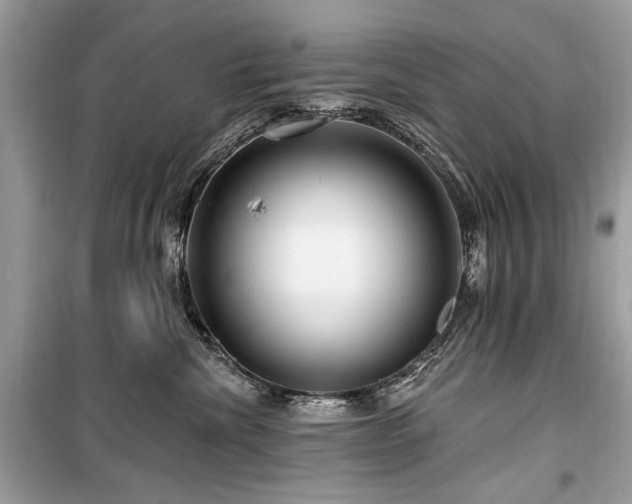 X0000099560476200805161457