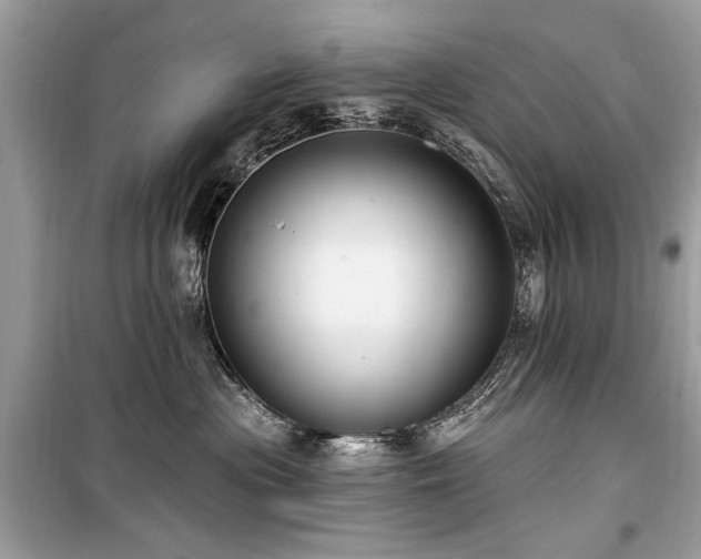 X0000099560477200805161457