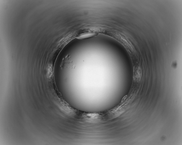 X0000099560478200805161457