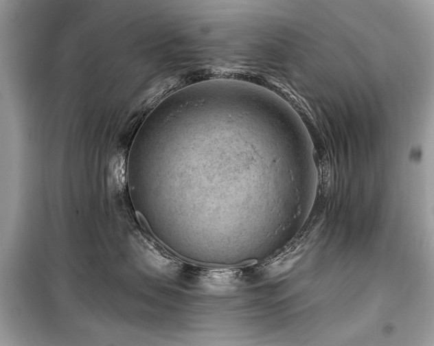 X0000099560479200805161457