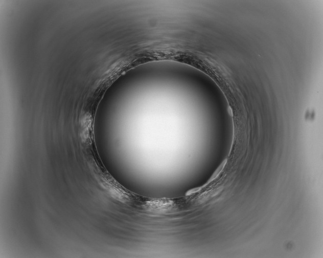 X0000099560480200805161457