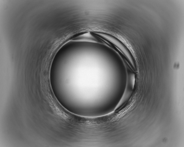 X0000099560481200805161456