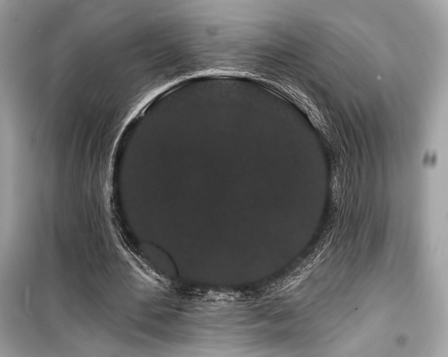 X0000099560484200805161456