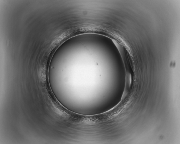 X0000099560489200805161456