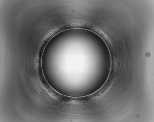 X0000099560490200805161456