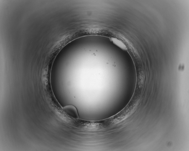 X0000099560497200805161456