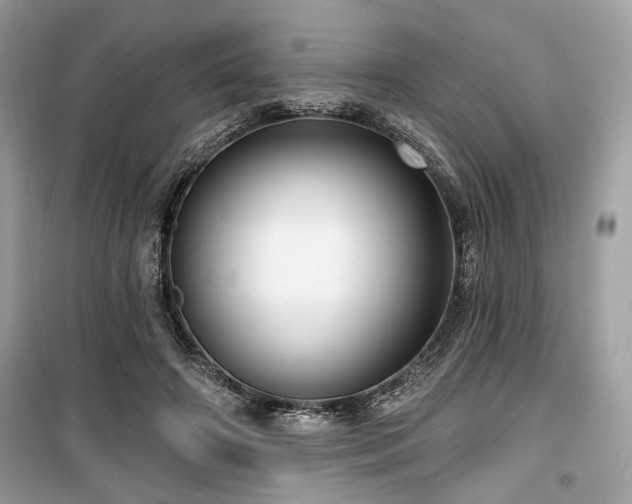 X0000099560498200805161456