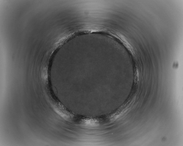 X0000099560500200805161456