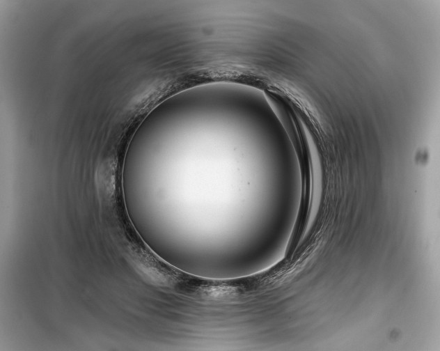 X0000099560501200805161456