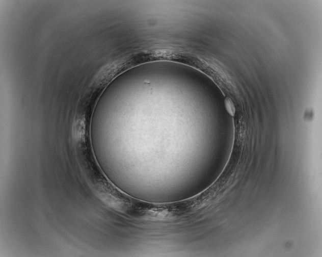 X0000099560502200805161456