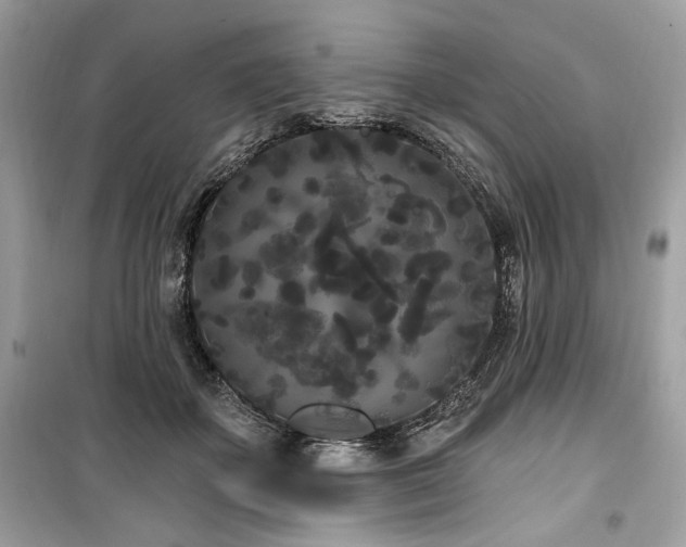 X0000099560507200805161456