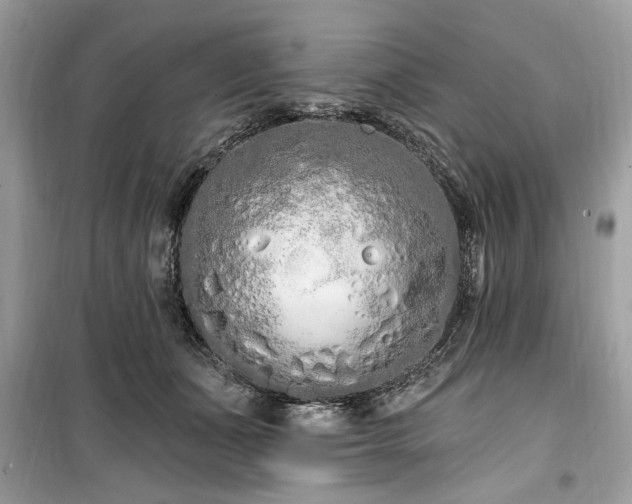 X0000099560511200805161456