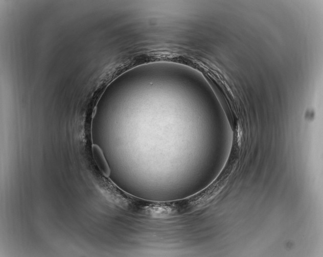 X0000099560512200805161456