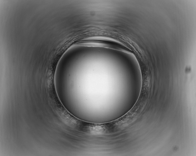 X0000099560513200805161456