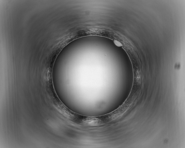 X0000099560514200805161456