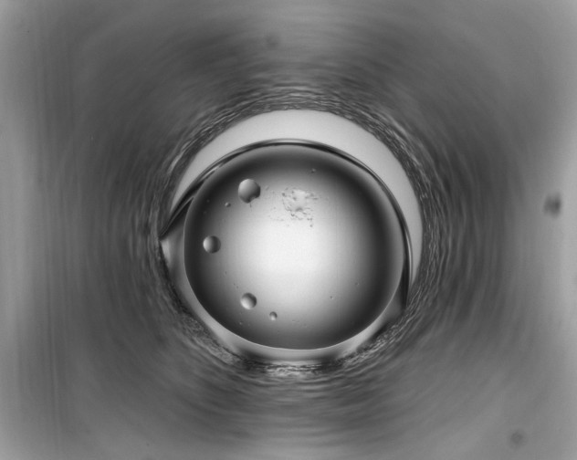 X0000099560516200805161456