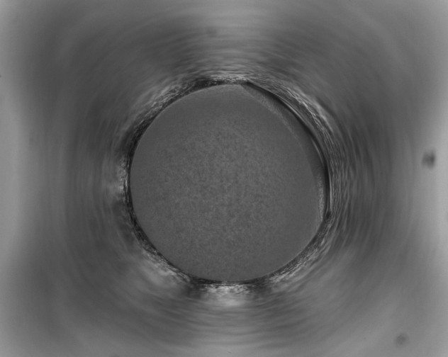 X0000099560517200805161456