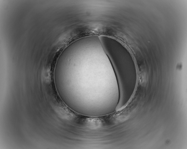 X0000099560520200805161456