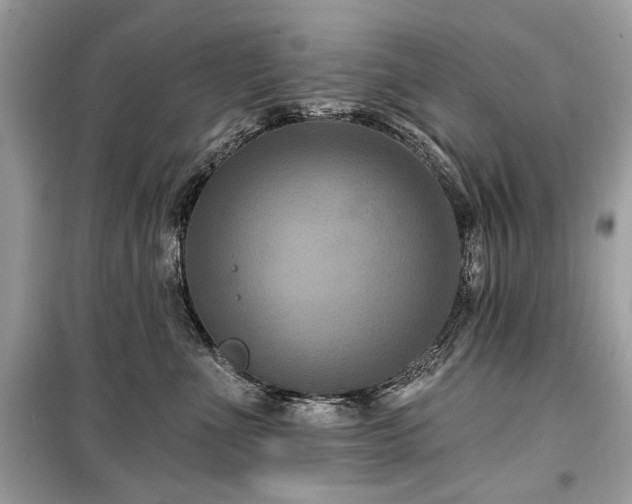 X0000099560523200805161456