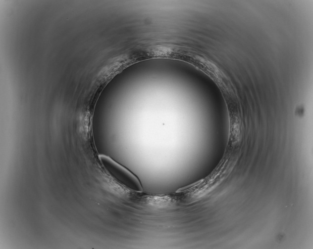 X0000099560525200805161456