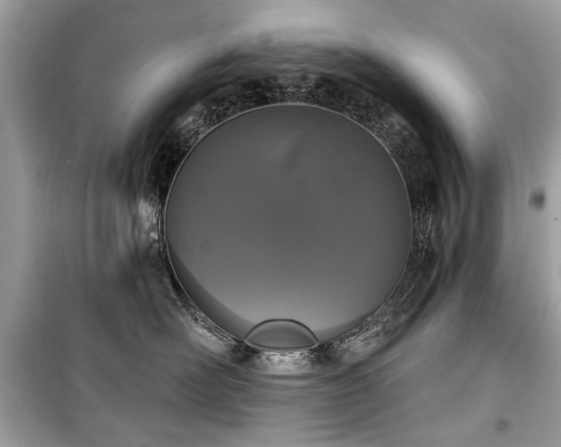 X0000099560526200805161456