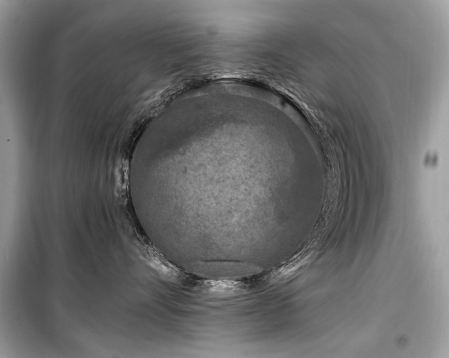 X0000099560528200805161456