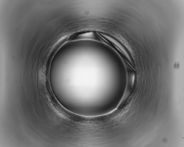 X0000099560530200805161455