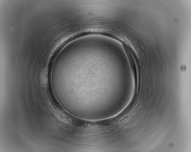 X0000099560531200805161455