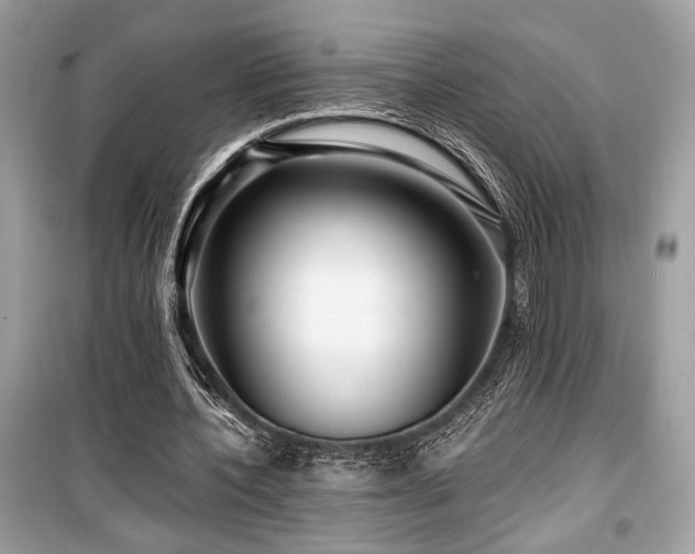 X0000099560532200805161455