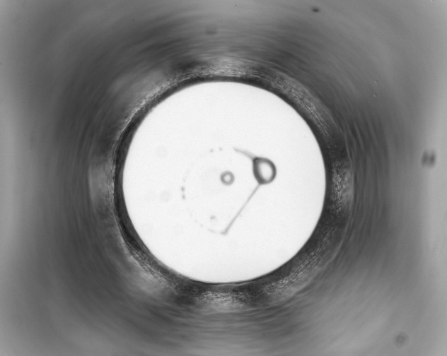 X0000099560534200805161455