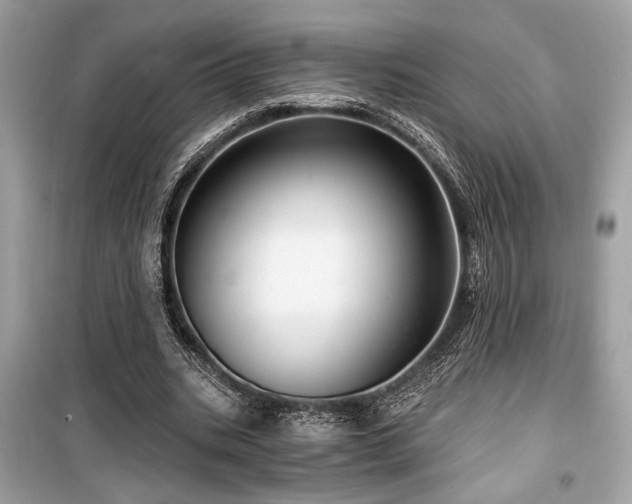 X0000099560535200805161455