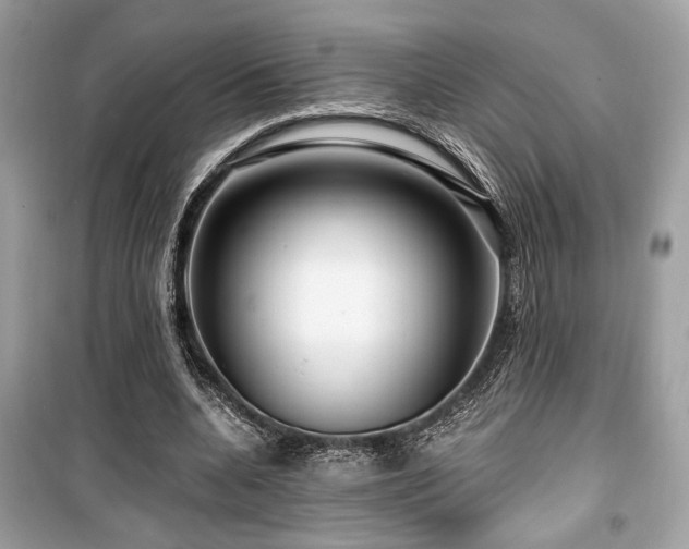 X0000099560536200805161455